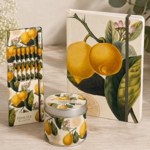 Presentset Citron (Anteckningsbok, pennor & doftljus)